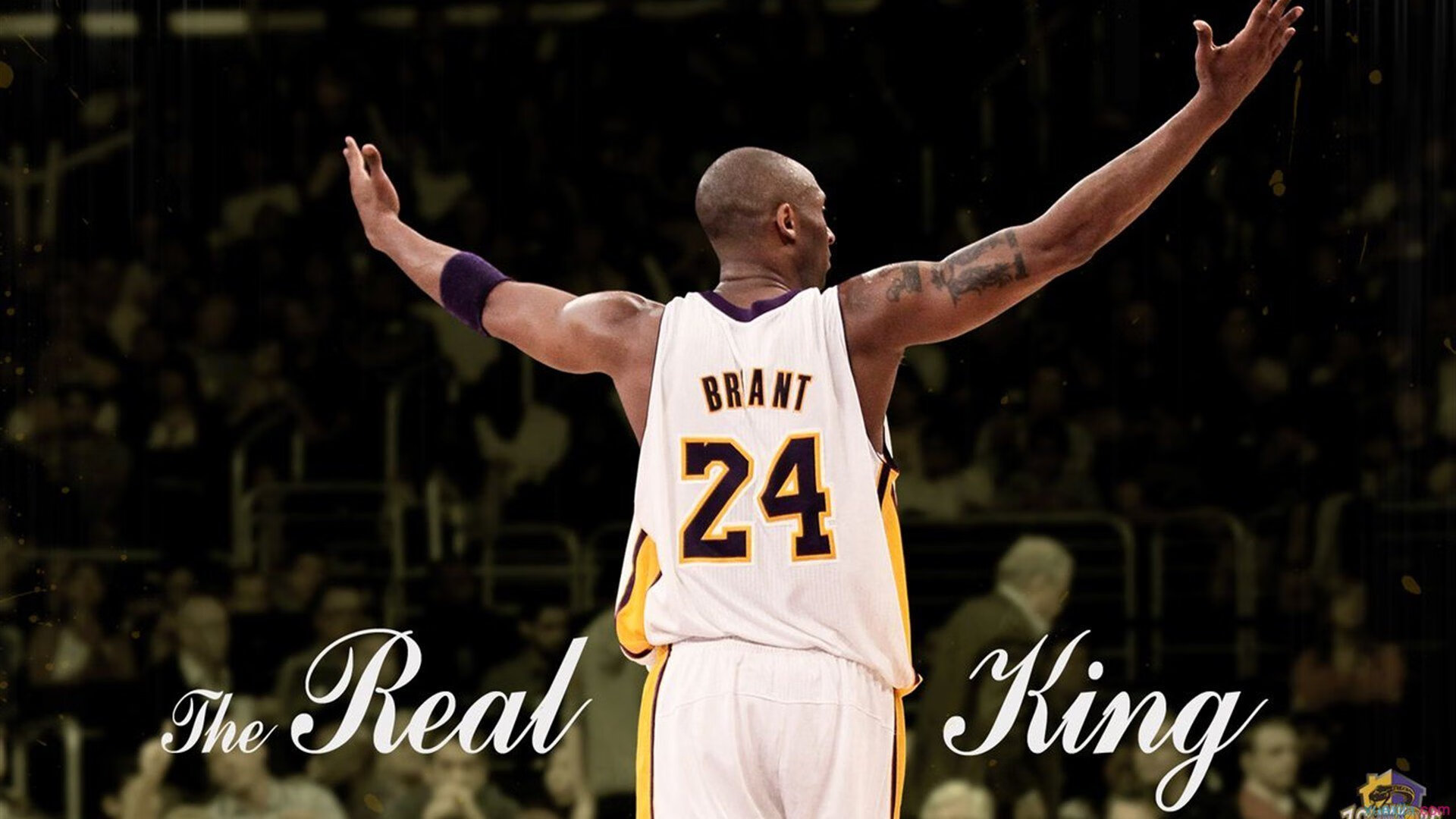 当岭南雄狮遇上南滩烈焰,西亚卡姆的攻防统治如何定义现代篮球新维度